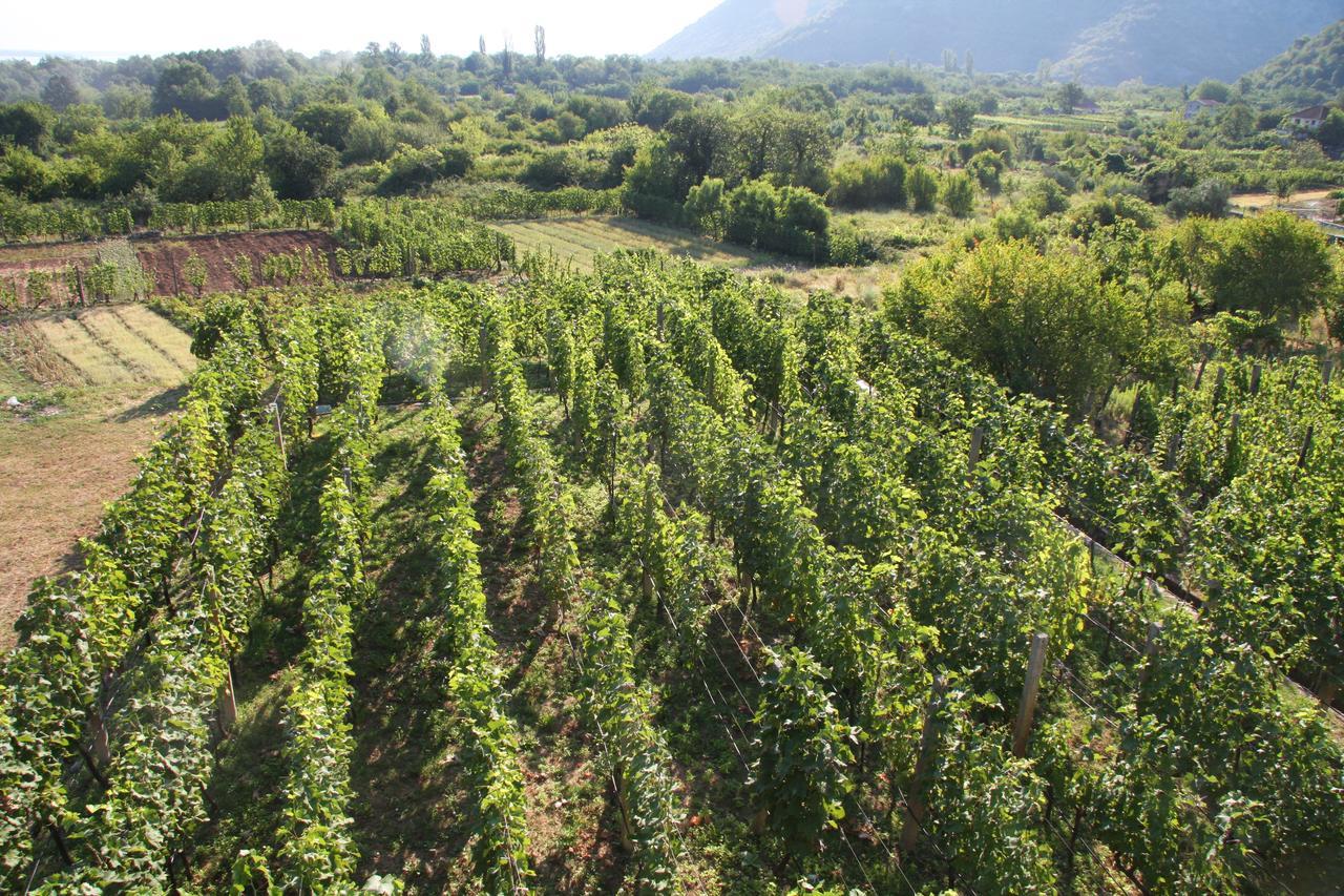 Vrzina Farm House Skadar Lake Virpazar Dış mekan fotoğraf