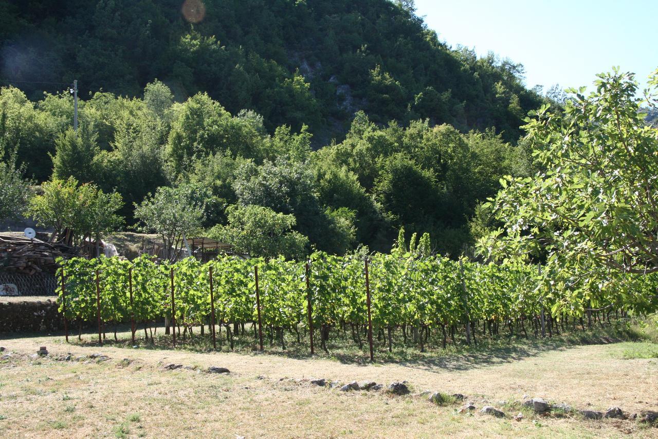 Vrzina Farm House Skadar Lake Virpazar Dış mekan fotoğraf