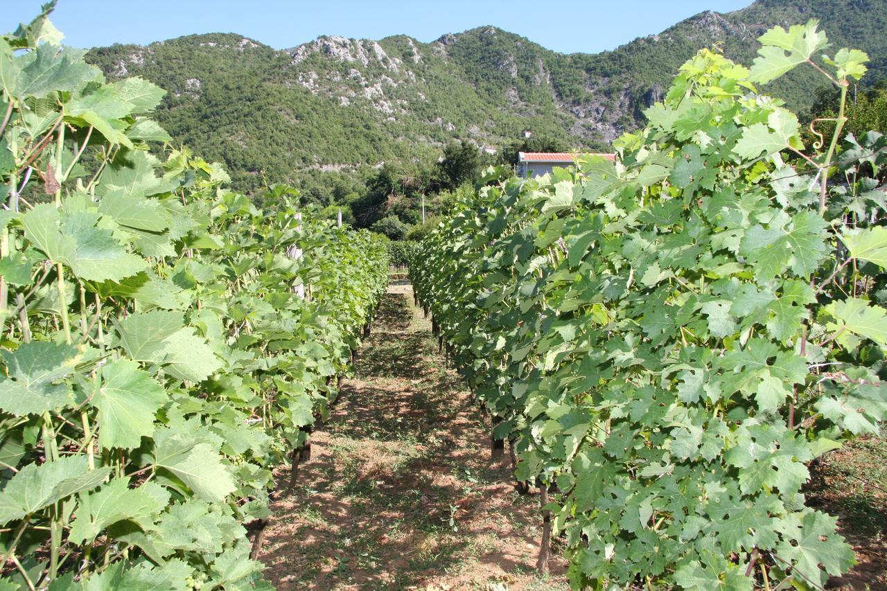 Vrzina Farm House Skadar Lake Virpazar Dış mekan fotoğraf