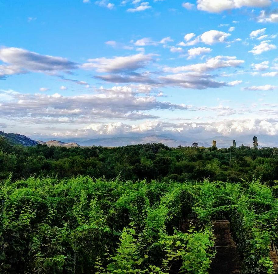 Vrzina Farm House Skadar Lake Virpazar Dış mekan fotoğraf
